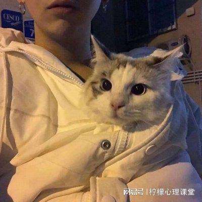 宝宝巴士恐龙乐园(更名宝宝恐龙家园)下载